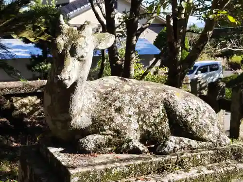 春日神社の狛犬