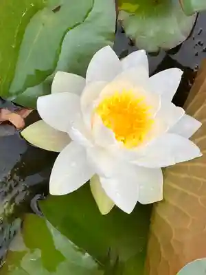 真言宗　善通寺派　薬王寺(香川県)