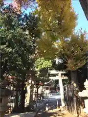 白山神社の鳥居