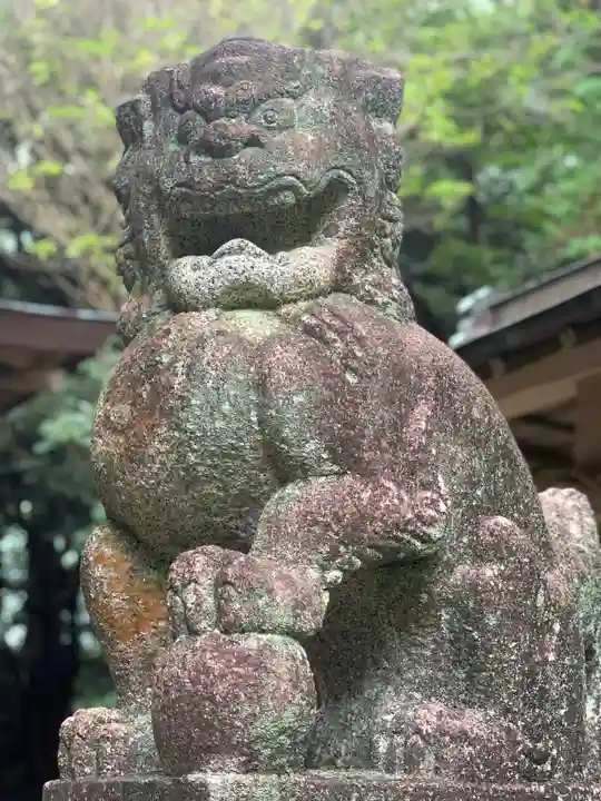 愛宕神社の狛犬