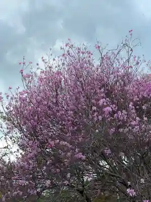 蔵王社(東京都)