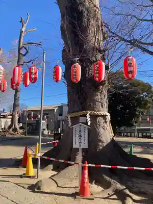 東八幡神社(埼玉県)