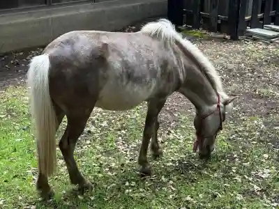 平塚八幡宮(神奈川県)