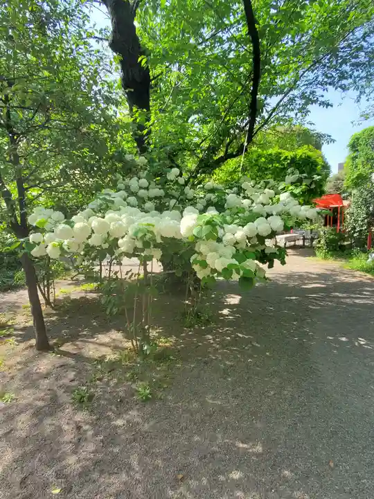 冠稲荷神社の自然