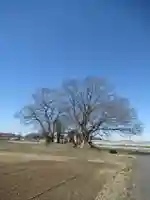 神明神社(千葉県)