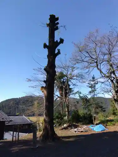 春日神社(福井県)