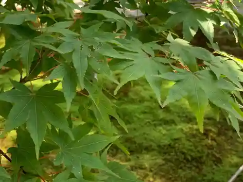 東福禅寺（東福寺）の庭園