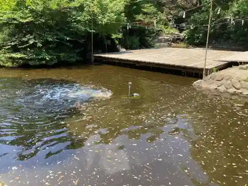 平塚八幡宮(神奈川県)
