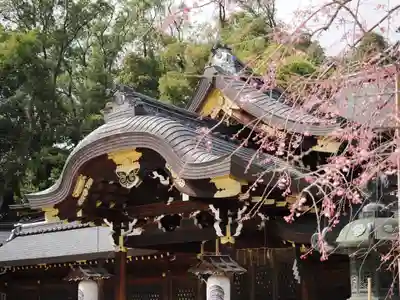 今宮神社(京都府)