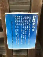 師岡熊野神社の歴史