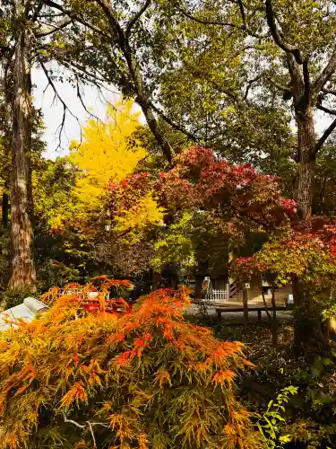 鶴岡八幡宮の自然