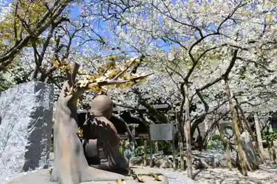 大宝寺(愛媛県)