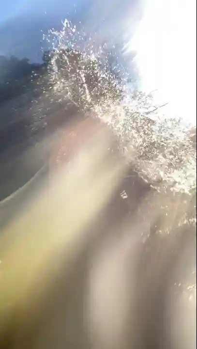 蓮久寺(千葉県)