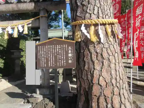 中野沼袋氷川神社(東京都)