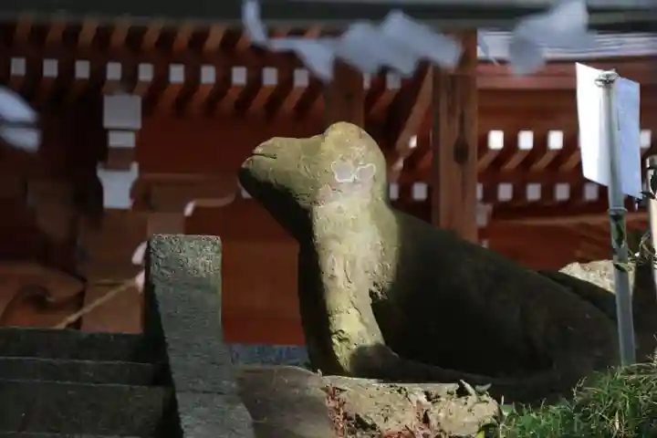 阿久津「田村神社」(郡山市阿久津町)旧社名:伊豆箱根三嶋三社の狛犬