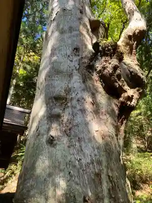 神坂神社(長野県)