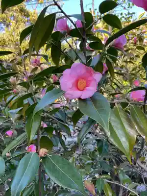 溝旗神社（肇國神社）(岐阜県)