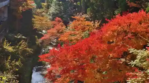 吟松寺の自然