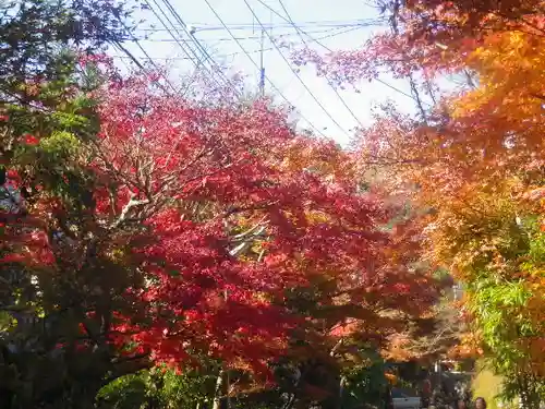 海蔵寺の庭園