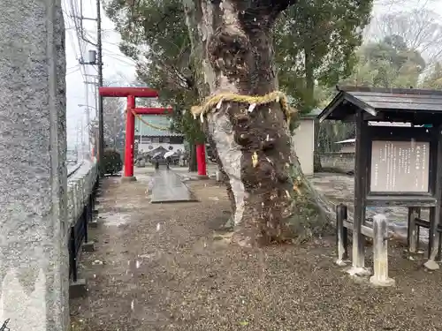 関本神社(茨城県)