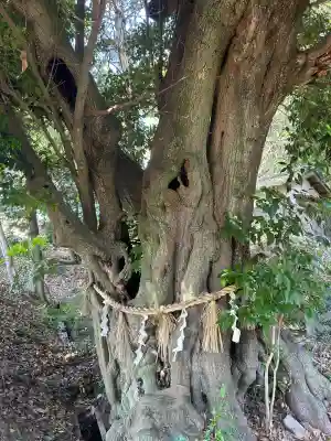 市杵嶋神社(兵庫県)