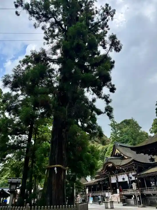 大神神社の{uncategorized: "未分類", other: "その他", undefined: "問題あり", building: "その他建物", grave: "お墓", sacred_gate: "鳥居", guardian: "狛犬", statue: "像", buddha: "仏像", history: "歴史", nature: "自然", garden: "庭園", animal: "動物", pagoda: "塔", temizu: "手水舎", mountain_gate: "山門・神門", sanctuary: "本殿・本堂", subordinate: "末社・摂社", art: "芸術", scenery: "景色", jizo: "地蔵", ema: "絵馬", goshuin: "御朱印", omikuji: "おみくじ", items: "授与品その他", amulet: "お守り", goshuincho: "御朱印帳", eats: "食事", festival: "お祭り", votive_dance: "神楽", shichigosan: "七五三参", wedding: "結婚式", experience: "体験その他", initially: "初詣", around: "周辺", anti_infection: "感染症対策"}