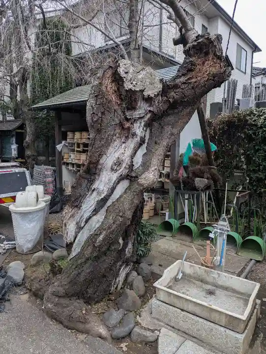 宗参寺(東京都)
