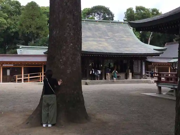 武蔵一宮氷川神社の本殿・本堂