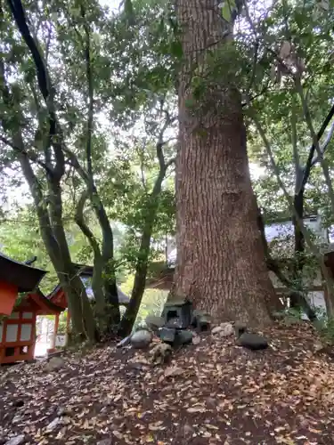 大山祇神社(愛媛県)