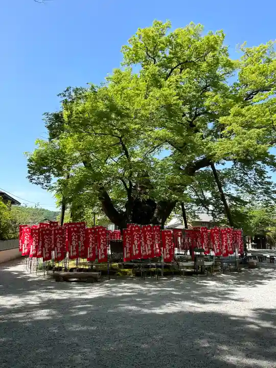 秩父今宮神社(埼玉県)