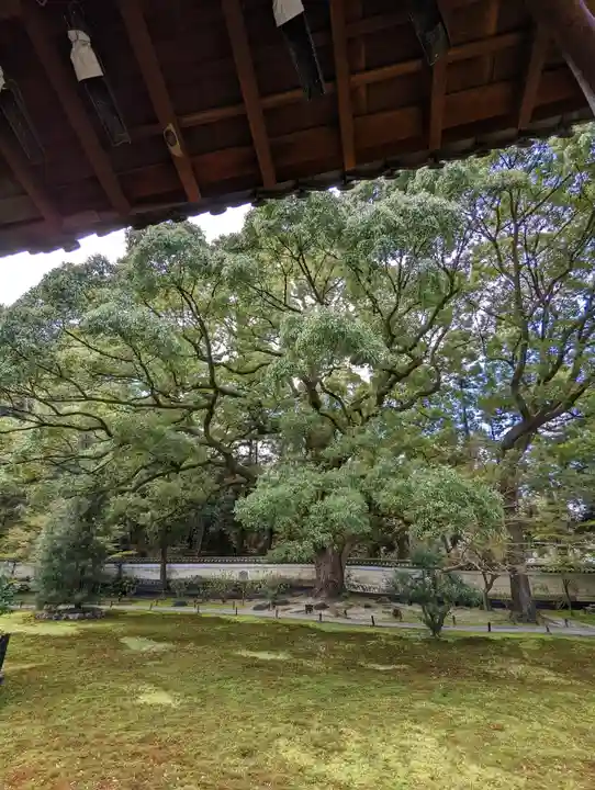 青蓮院門跡(京都府)