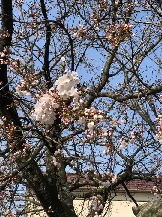 熊野神社(福井県)