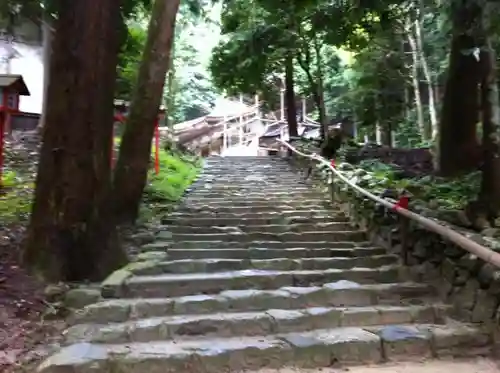 日吉大社の自然