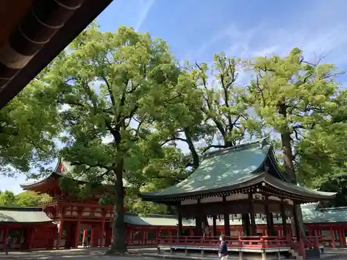 武蔵一宮氷川神社(埼玉県)