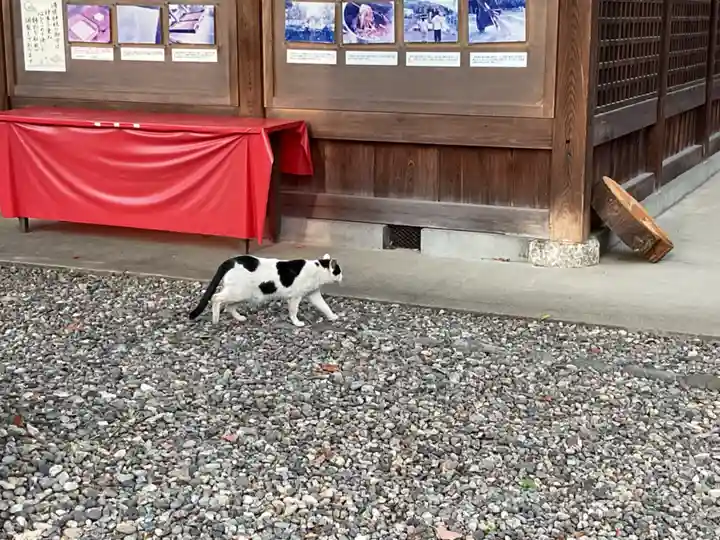 溝旗神社(肇國神社)(岐阜県)