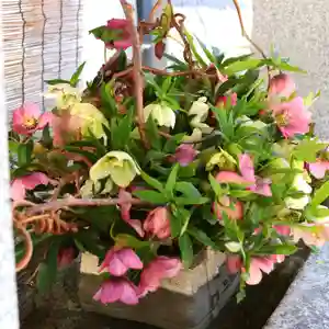 三津厳島神社(愛媛県)(2026年03月10日(火) 11時39分44秒投稿)