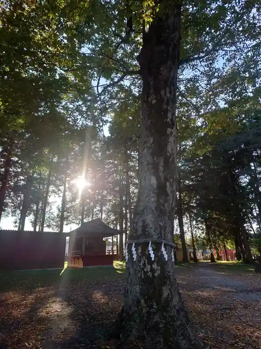 愛宕神社(埼玉県)