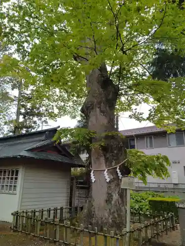 竹駒神社(宮城県)