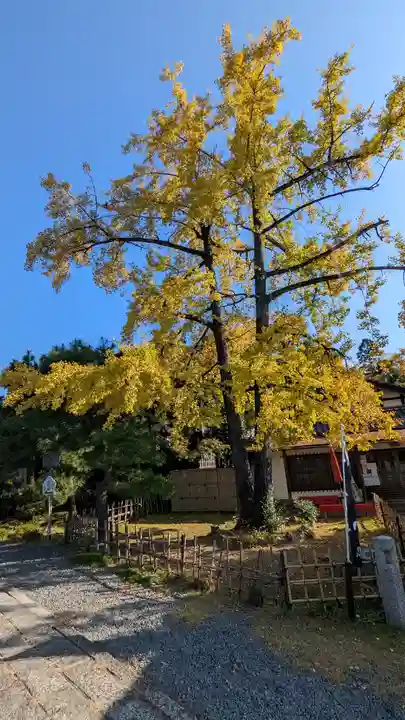 清凉寺(京都府)