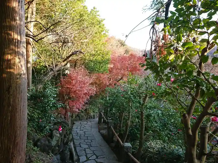 杉本寺の周辺