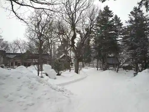 鷹栖神社の景色