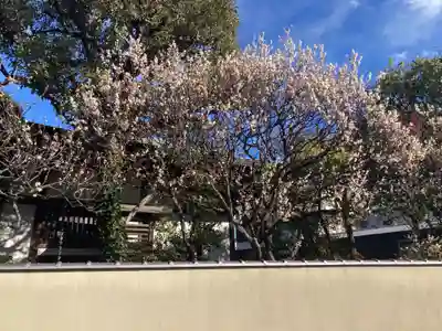 観音蜜寺(神奈川県)