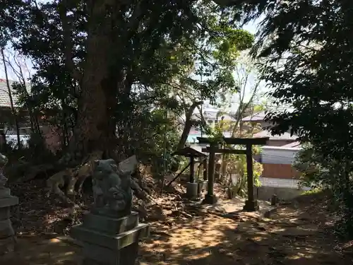 愛宕神社の自然