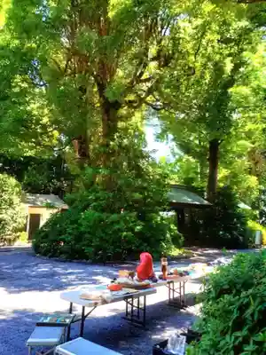 阿佐ヶ谷神明宮(東京都)