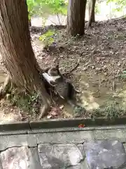 玉野御嶽神社の動物