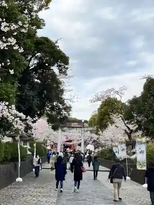 富士山本宮浅間大社(静岡県)