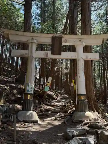 三峯神社(埼玉県)