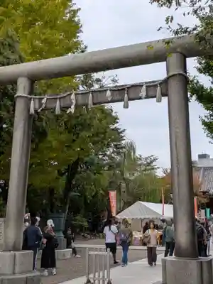 浅草神社の鳥居