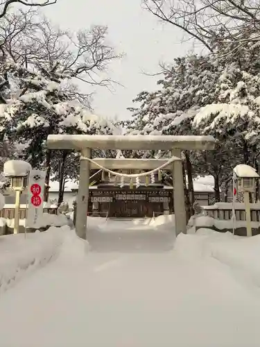 新琴似神社の初詣
