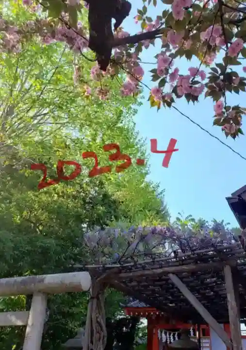 藤神稲荷神社(東京都)